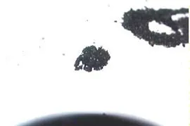 Figure 4 – Ferrous Particles